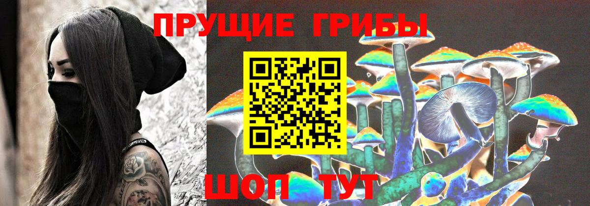 Чебаркуль  Псилоцибиновые грибы прущие грибы  Вход с VPN 