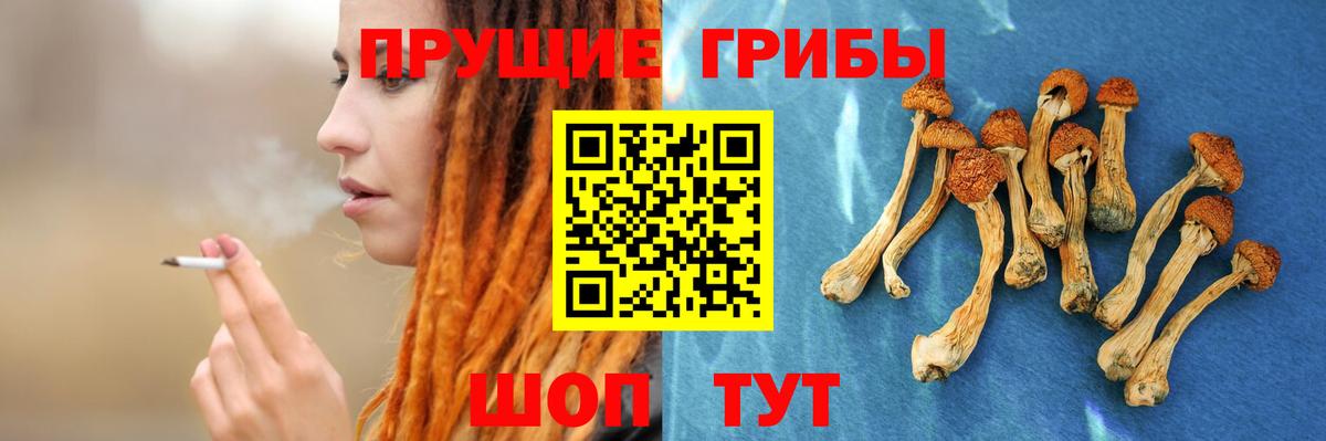 Псилоцибиновые грибы прущие грибы Чебаркуль