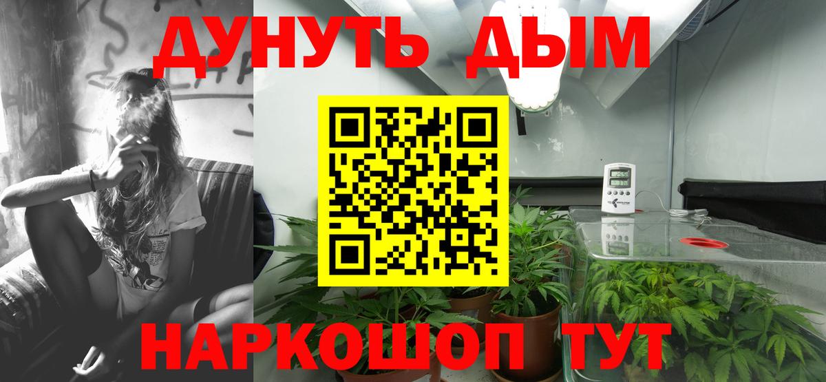 Чебаркуль  Каннабис Amnesia  Вход с VPN  Канабис Amnesia 